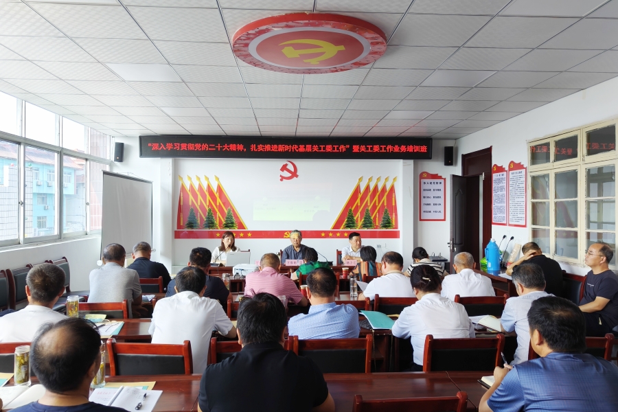 寿县关工委举办“深入学习贯彻党的二十大精神，扎实推进新时代基层关工委工作”暨关工委工作业务培训13 - 副本