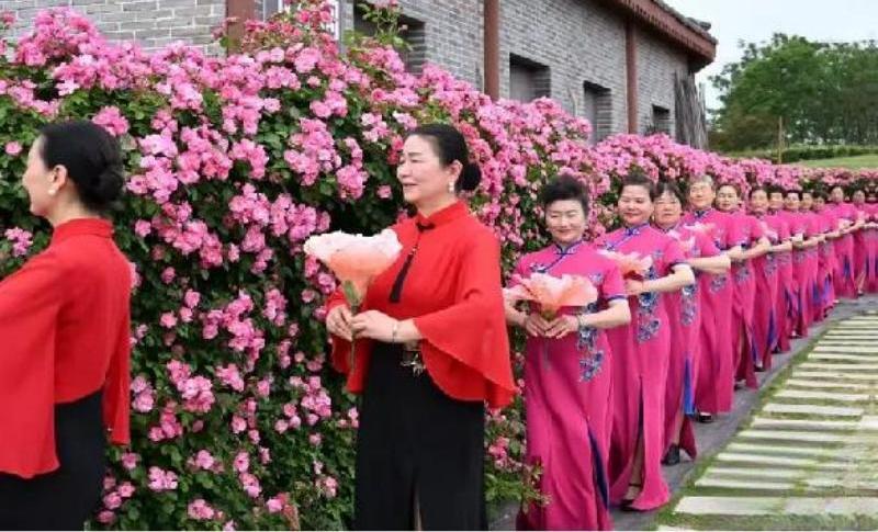 旗袍佳丽舞华彩 姹紫嫣红锦绣行003