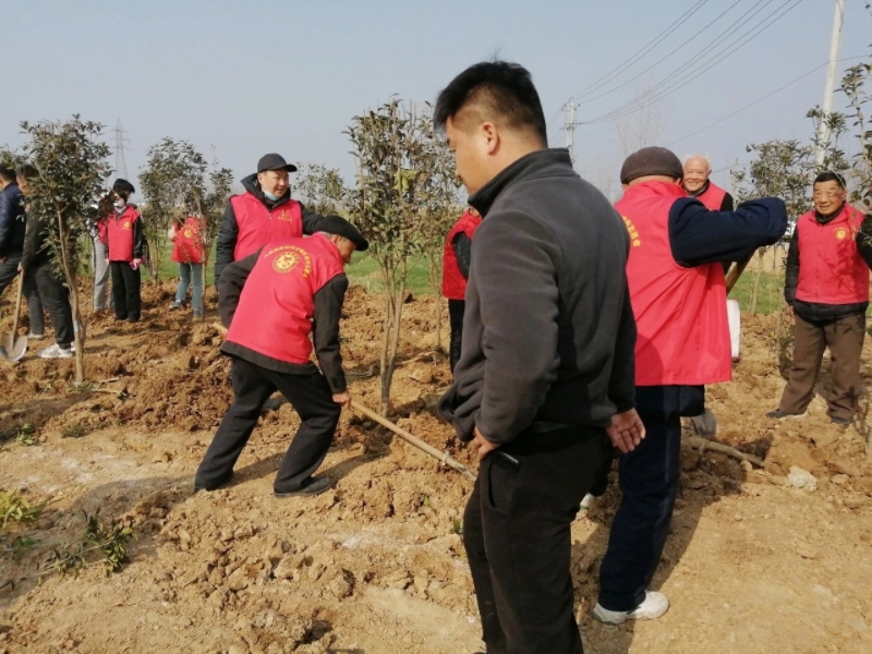 安徽省离退休干部职工示范党支部先进事迹（一）——淮南市寿县大顺镇老干部党支部
