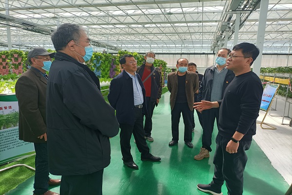 参观安徽州来绿港智慧农业科技示范产业园600x400.jpg